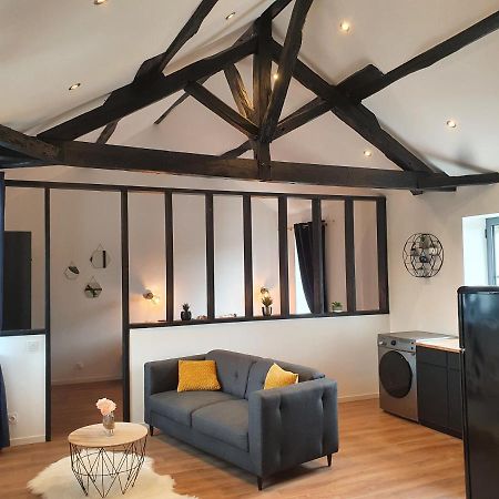 Le Loft De Blossac Apartment Poitiers Ngoại thất bức ảnh